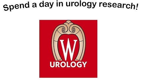 Spend a Day in Urology Research!