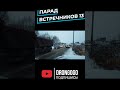 Парад встречников drongogo shorts 13