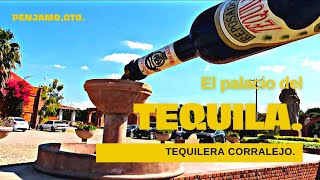 TEQUILERA CORRALEJO | PENJAMO GTO  MÉXICO 🙌🍾🍷 #viral #tequila #corralejo #mexico #tequila #maguey