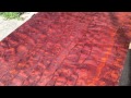 Tree Mahogany Raw & Sanded Tree Mahogany Raw & Sanded