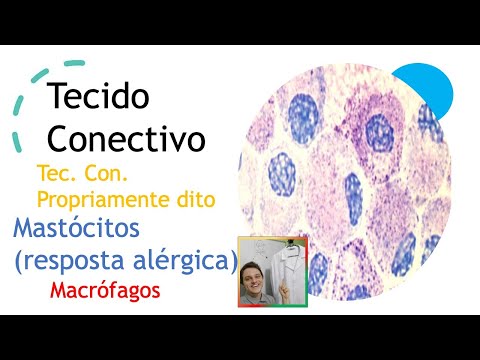 Vídeo: Mecanismos Ligados à NAD De Despressão Do Gene E Um Novo Papel Da CtBP Na Infecção Persistente De Linfócitos Por Adenovírus