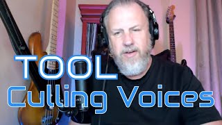 TOOL - Culling Voices - First Listen\/Reaction