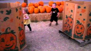 running around the pumpkin patch.AVI