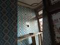 wall tile fitting design work panding #new #24hrs #youtubeshorts #interiordesign #mirrorseries #1m