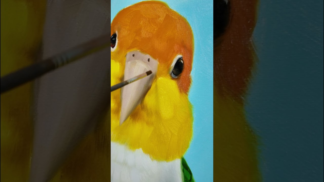 Custom Bird Portraits😍Happy The Sweet Bird Come Back Its Home! 