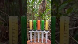 Survival Skills:The shows andUseful Save SOAP#outdoors #bushcraft #camping #skills #diy