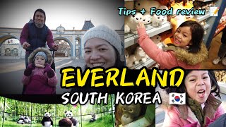 Is Everland South Korea Worth Going? Mini Tour Food Review Jomarson