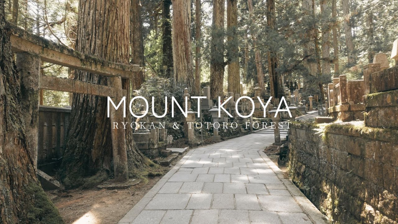 Day Trip to Mount Koya II Path of the wind - YouTube