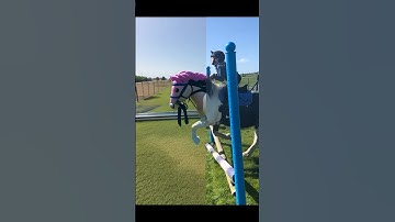 Me and Mylo as a Barbie lol￼