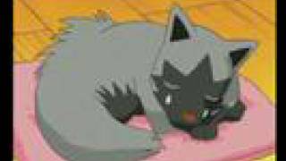 Poochyena And Mightyena Amv