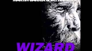 Martin Garrix & Jay Hardway   Wizard