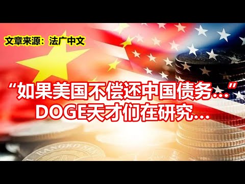 如果美国不偿还中国债务 DOGE天才们在研究