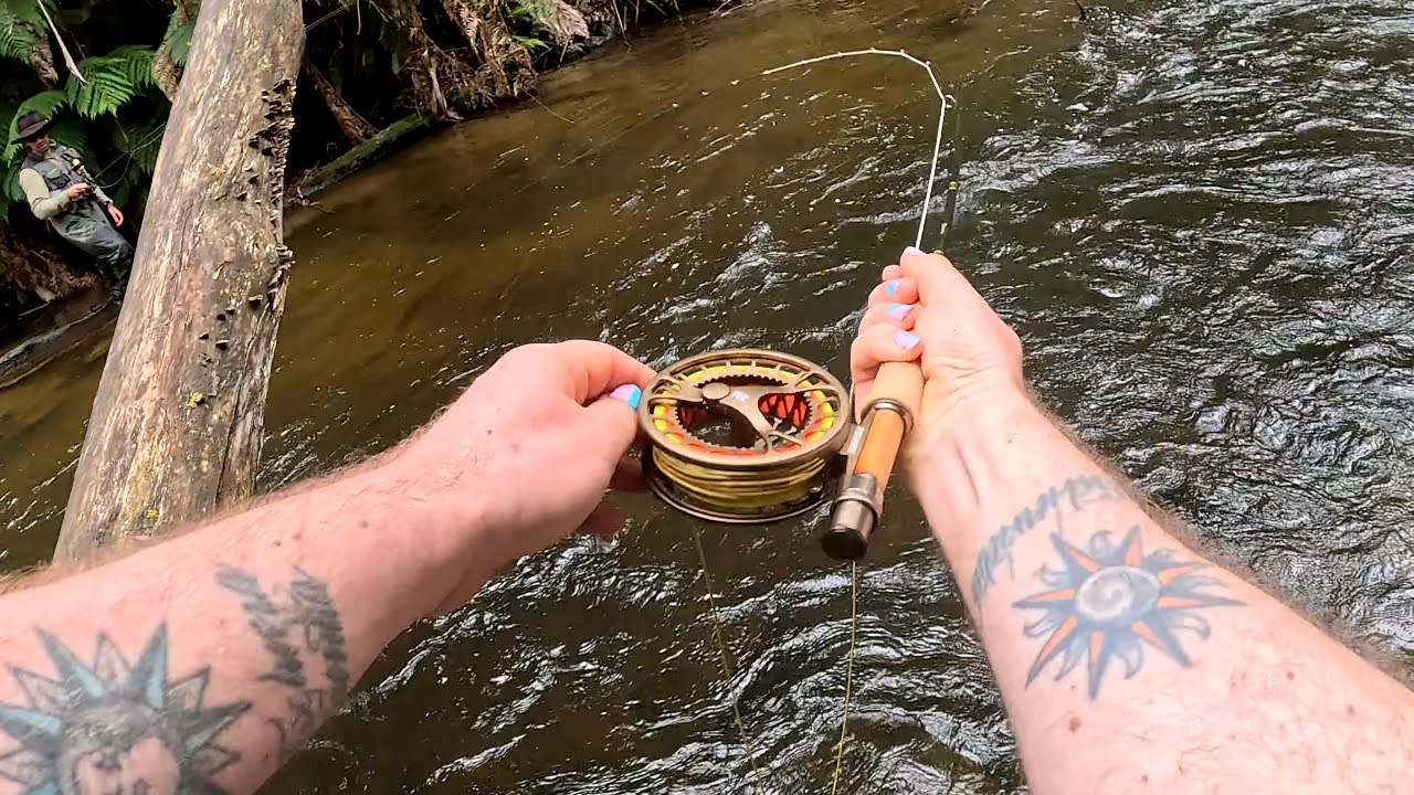 Dry fly fishing a stunning river in West Gippsland