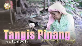 Download Lagu TANGIS PINANG Voc. IWILYATI (Official Music Video Seni Tradisional Berejong ) MP3