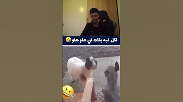 قاليه بقات فهاو هاو Youtube Youtubeshorts Shorts Trending Viral Explore Comedy Foryou Fyp 