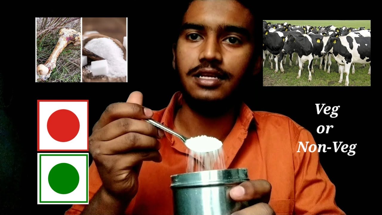 Sugar Veg Or Non Veg opinion 