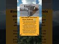 FP-45 Liberator: Die billigste Pistole aller Zeiten 🔫💀