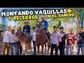 MONTANDO VAQUILLAS Y BECERROS🐮EN EL RANCHO DE MI AMIGO (RANCHERO95) (LOSCANIS)🐮🐮 parte 1