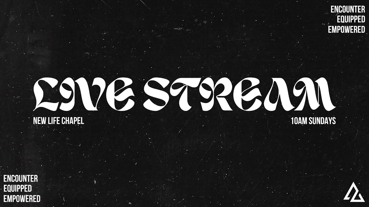 Month Of Miracles | Paula Connelly 