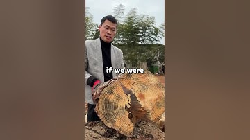 People in arranged marriages, what