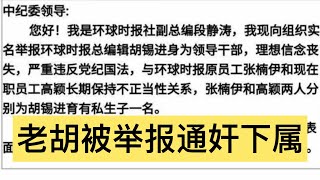 #739#五毛头子胡锡进被副总编实名举报,通奸下属生二子,举报全文曝光。这才是真正的共产党作风。