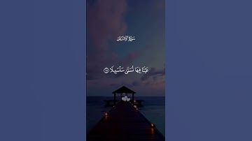 #quran #دويتو #قرآن #القزابري #تلاوات #المصحف #لايك #اكسبلور #تيك_توك #حالات_واتس
