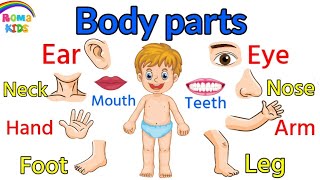 أعضاء جسم الإنسان للأطفال باللغة الإنجليزية👀👅🦵parts of the body for kids