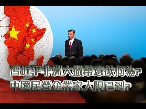 夏业良：习近平非洲大撒币 民营企业家大限已到？ 