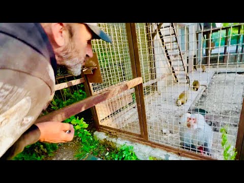 видео: Джоник общается со мной, Люська с Владом и ВСЕ СЧАСТЛИВЫ)))