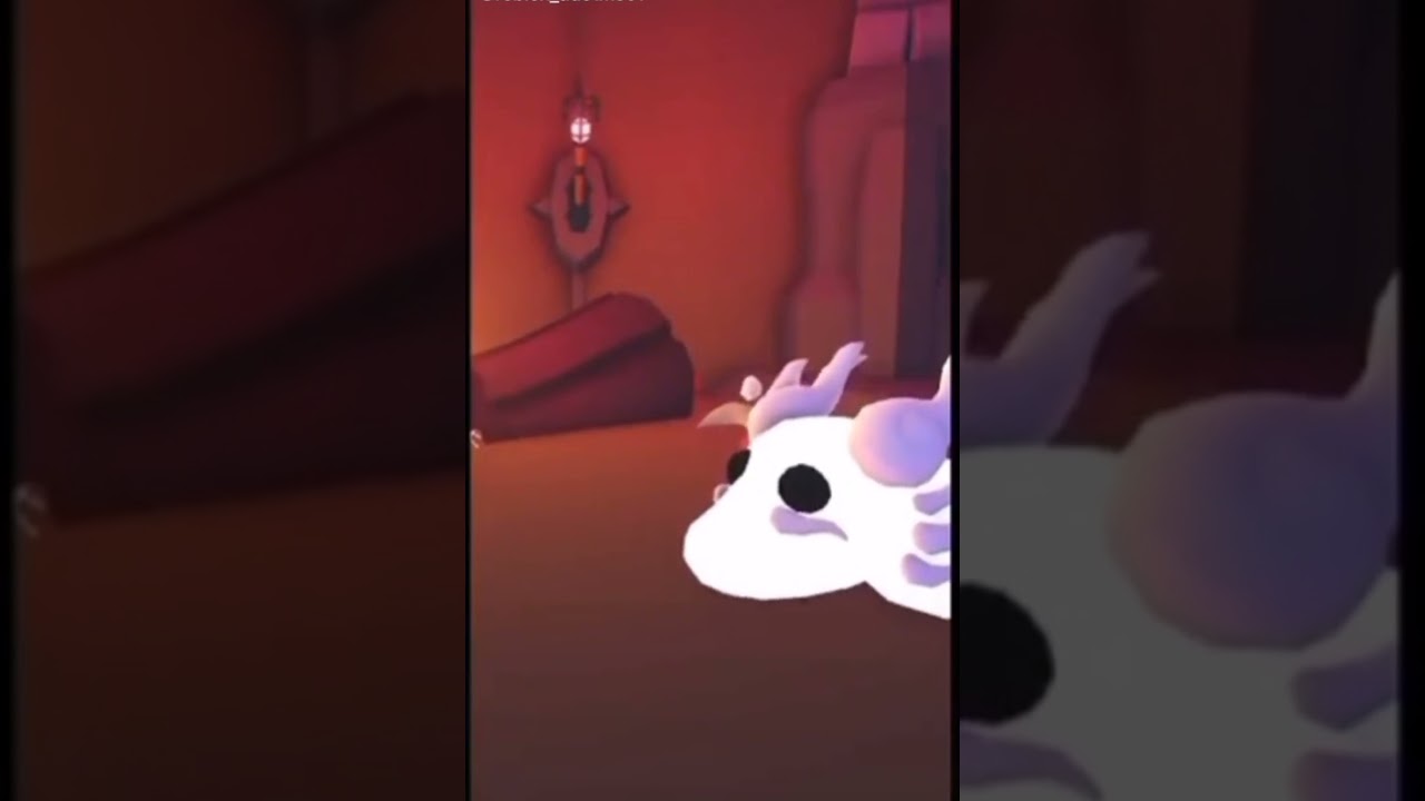 🐲👻ADOPT ME UPDATE NUEVA MASCOTA DRAGON FANTASMA  roblox