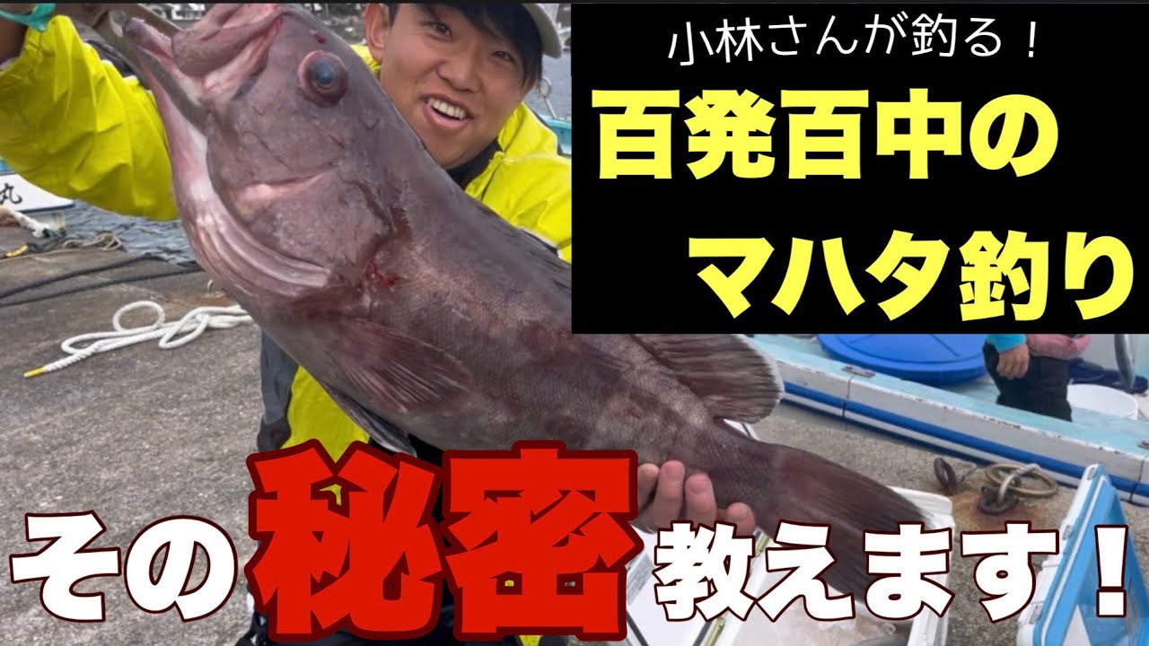 【小林さんが行く！第51話】百発百中のコツ教えます！良型マハタ浮上！南伊豆秀丸🎣