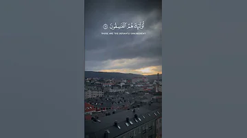 11 مارس 2025 