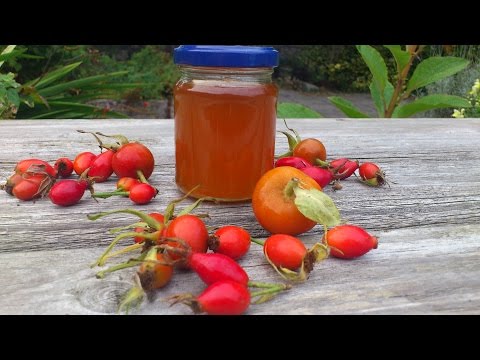 Видео: Rosehip сироп яагаад ашигтай байдаг вэ?