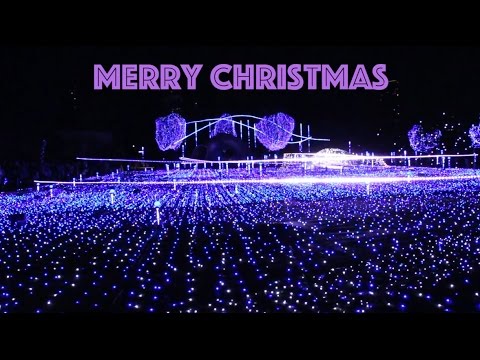 5 Things to Do in Tokyo at Christmas Time