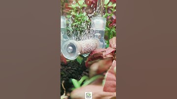 Thumbnail of New bazooka flux CO2 diffuser from @co2art-com #trending #fishtank #ytshorts #aquarium #protips