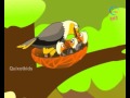 The Eagle And The Fox Moral Stories For Kids English Short Stories For Children