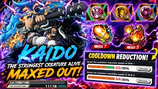 KAIDO IS BACK AND HE'S BROKEN! 43% SKILL 1 + 34% SKILL 2 COOLDOWN | OPBR