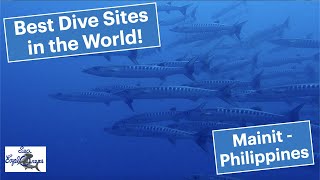 BEST DIVE SITES IN THE PHILIPPINES - Mainit in Dauin