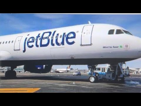 JetBlue CEO Robin Hayes stepping down, replaced by Joanna Geraghty ...