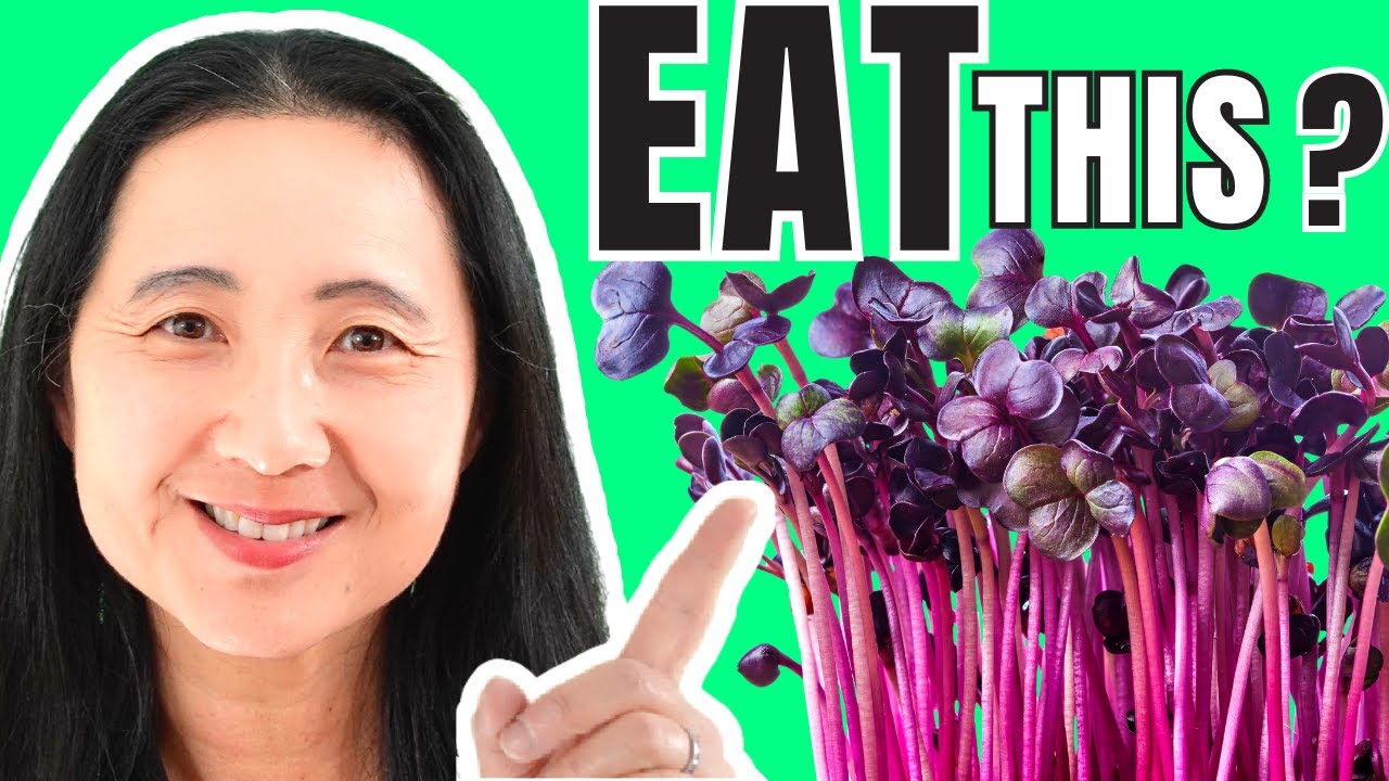 Superfoods The Truth About Sprouts. YouTube