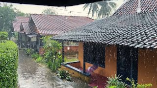 Beautiful rain in beautiful village||very relaxing and cooling||rain video