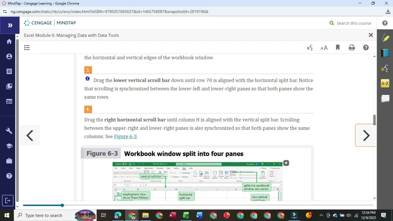 New Perspectives Excel 365\202 Module 6 Textbook Project | NP_EX_6_Filters | NP_EX_6-2 | NP_EX_6-1