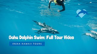 Swim with Dolphins on Oʻahu | Full Real Tour Experience | Iruka Hawaii