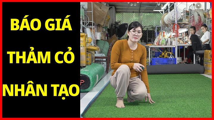 Thảm cỏ nhân tạo giá bao nhiêu năm 2024