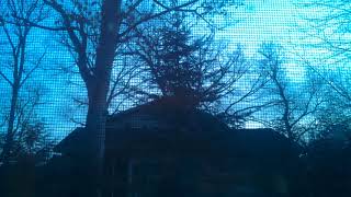 Raspberry Pi: Camera Module Time-lapse Video Project Demo (Student work/ JW)