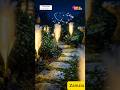 Magic in Your Garden! ✨ Zainzio Solar Reed Lights #shorts