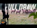 FULL DRAW On A HERD BULL - EP 03 LOF4.0