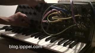 Korg MS-20 resonance groove with EG1 looping #korgms20