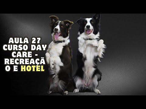 Aula 27 Curso Day Care - Recreação e Hotel| Glauco Lima Treinador