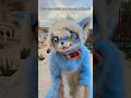 We know we are humans lol  #Furry #Kemono #kigurumi #Fursuit #Fursuiter #FurryFandom #Furries